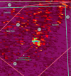 Screen Shot 2025-03-15 at 11.06.26 PM.png