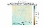 DWPT_dom2_032325.gif