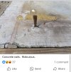 IMG_1960.jpeg