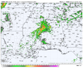 nam-nest-alms-refc-3325200.png 4am 6z.png