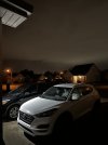 IMG_5229.jpeg