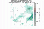 hodo_tomorrow.gif