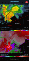 TMEM - Digital Reflectivity 1, 1_16 AM.gif