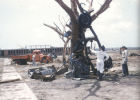Udall 1955 3.png