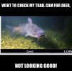 FB_IMG_1743858784675.jpg