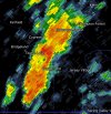 IMG_8371.jpeg