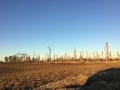 IMG_5529.jpeg