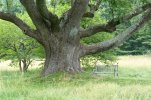 IMG_2080.jpeg