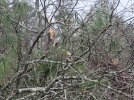 IMG_9174.jpeg