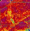 IMG_8555.jpeg