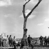 WorthMO1947treedamage.jpeg