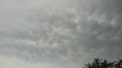 IMG_20200731_144437.jpg