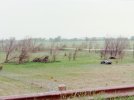 IMG_20200814_032344.jpg