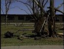 IMG_20200814_222953.jpg