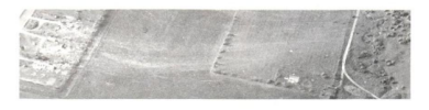Winfield 1.png