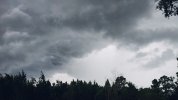 20200827_151151.jpg