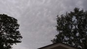 20200827_144218.jpg
