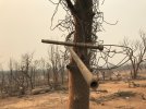 california-carr-fire-tornado-aftermath.jpg