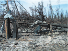 Screenshot_2020-10-02 Sci-Hub Fire Whirls Twisters That Light the Sky Weatherwise, 67(6), 12–2...png