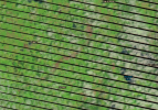 1606311162180.png