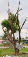 IMG_3141.jpeg