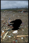 Screenshot_20250209-173513-1.png