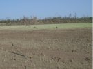 IMG_9245.jpeg