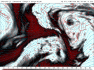 1747117978285.gif