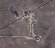 1747633271592.png