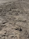 422F080B-B239-483D-A0C3-8D04961E4467.jpeg