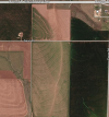 1000105923.png