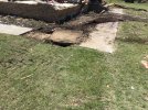 IMG_0943.jpeg