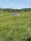 IMG_0944.jpeg