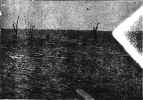 1748550057206.png