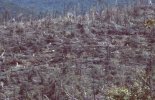 Tornado-85-West-of-Kane-from-1-pit-150-400-210mm-90-degrees.jpg
