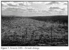 Screenshot 2025-05-31 at 14-00-00 Ecosystem Management - 3-2_BasicForestMngmnt2.pdf.png