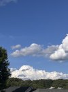 IMG_7907.jpeg
