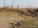 IMG_9538.jpeg