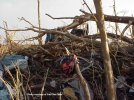 IMG_9540.jpeg