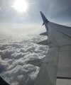1000081638.jpg