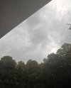IMG_9718.jpeg