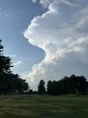 IMG_1208.jpeg