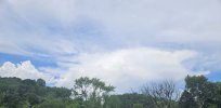20250628_145441.jpg 20250628_145441.jpg