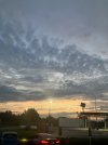 IMG_6156.jpeg