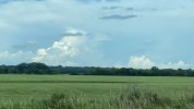 IMG_2595.jpeg