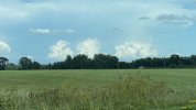IMG_2597.jpeg
