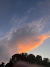 IMG_2833.jpeg