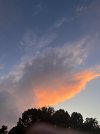 IMG_2834.jpeg