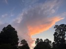 IMG_2835.jpeg