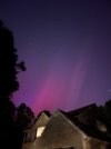 IMG_5341.jpeg